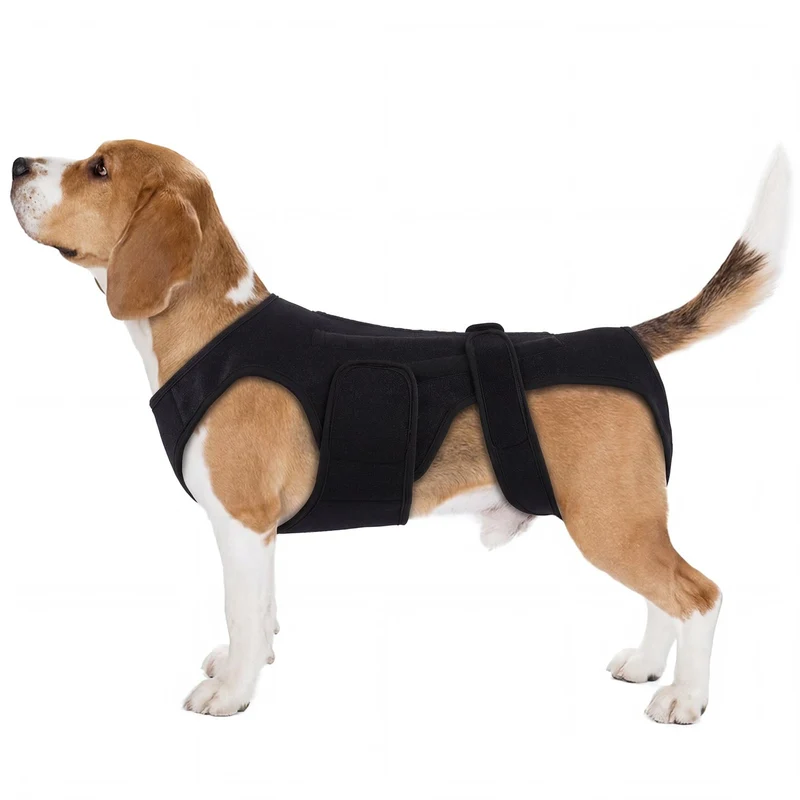 PURRLIA Ceinture dorsale pour chiens – Arthrite, IVDD, soutien spinal ajustable et respirant (Noir L)
