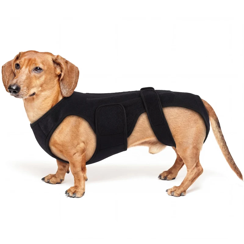 PURRLIA Orthèse dorsale pour chiens — Arthrite, IVDD, Soutien mobilité — Ajustable et respirante (Noir XS)