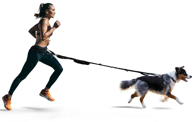 FITLY Ceinture-Taille pour Chien – Laisse de Course et Harnais Canicross, Poche Intégrée, Rose Zeste