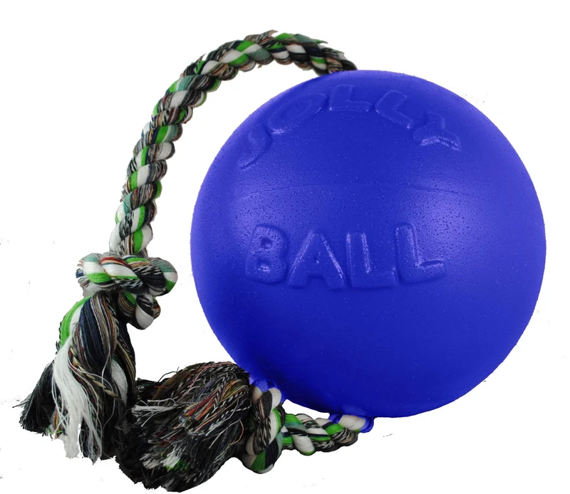 Jolly Pets Romp-n-Roll : Jouet chien corde et balle 6 po bleu, Taille Moyenne