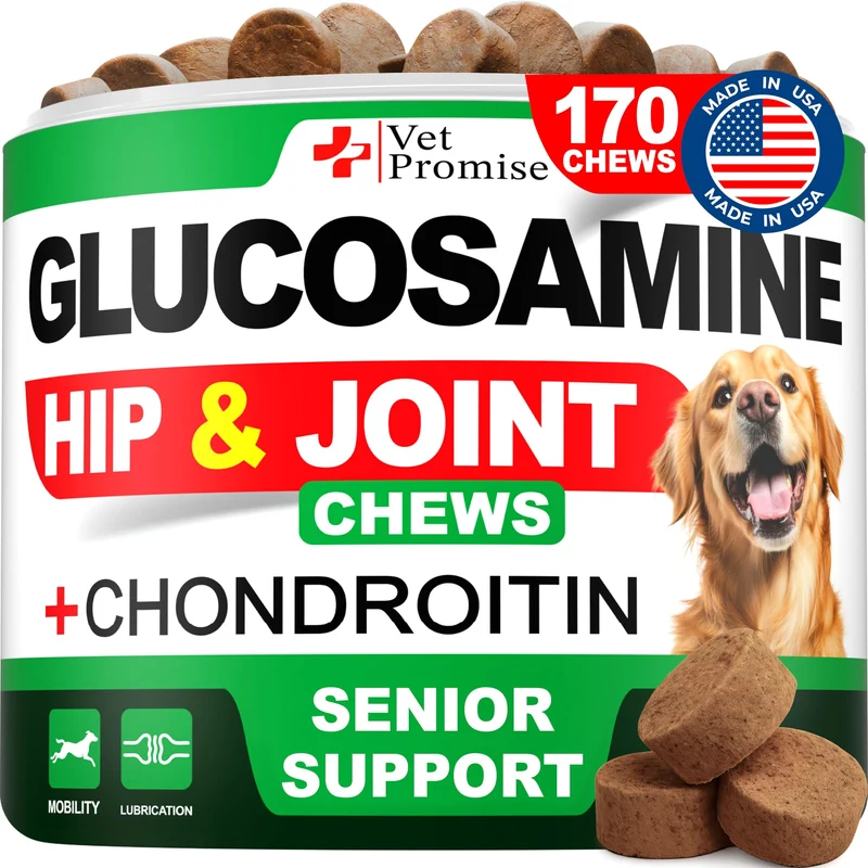 Vet Promise Advanced Glucosamine pour Chiens – 170 Bouchées – Soutien Articulations et Mobilité – Fabriqué aux États-Unis