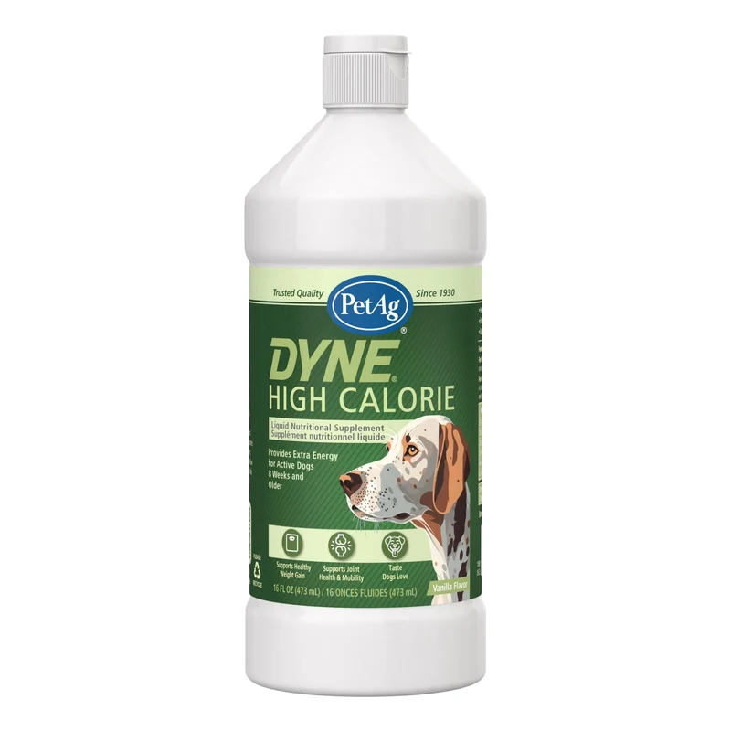 PetAg Dyne : Supplément liquide haute calorie pour chiens et chiots (8 semaines et +) – 16 oz – Endurance et performance – Saveur vanille