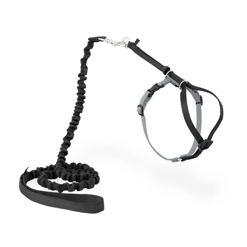 PetSafe Harnais Chat Come With Me Kitty et Laisse Bungee – Confort et Sécurité, Taille Moyenne, Noir