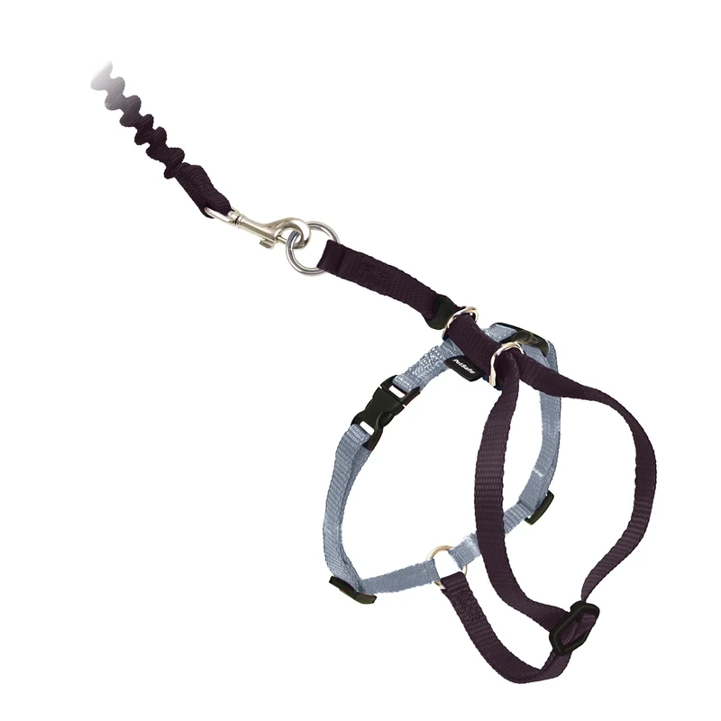 Harnais PetSafe pour chat avec laisse élastique – Grand, Noir