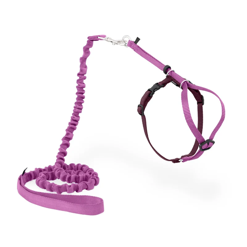 PetSafe Harnais Chat et Laisse Bungee – Confort et Sécurité, Ajustables, Taille Moyenne – Rose Poussière
