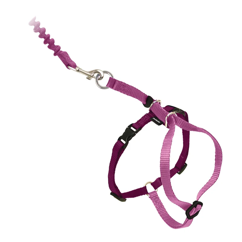 Harnais PetSafe pour chat avec Longe Élastique – Confort et Sécurité (Grand, Rose Poussière)