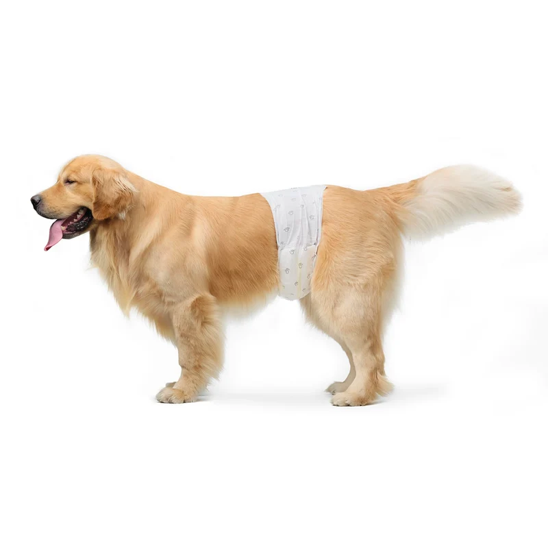 Amazon Basics Couches pour Chien Mâle – Grande, 30 Pièces, Ultra Absorbantes et Étanches