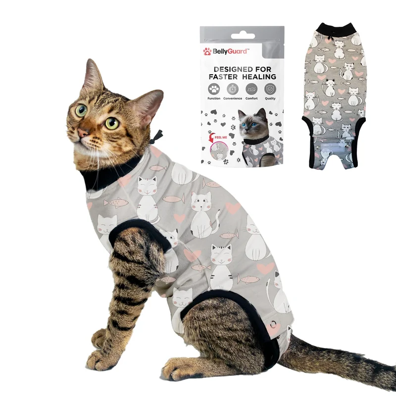 BellyGuard – Combinaison de récupération pour chat femelle et mâle, alternative au cône après chirurgie