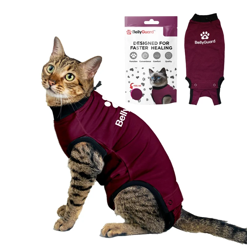 BellyGuard – Combinaison de récupération pour chat après chirurgie (femelle et mâle)