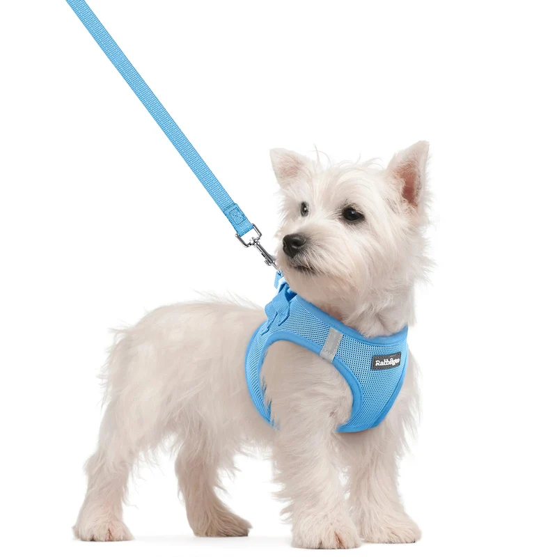 Rabbitgoo Harnais pour Petit Chien + Laisse – Entrée par les Pattes, Mesh Respirant, Bandes Réfléchissantes, Bleu S