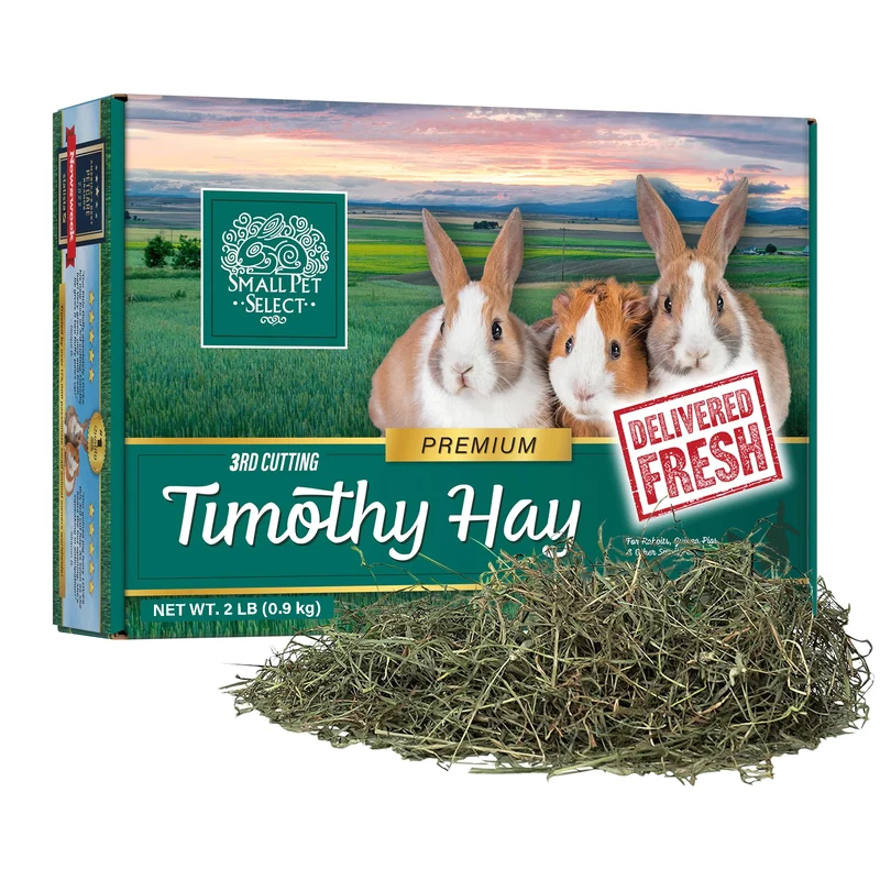Small Pet Select Foin Timothy 3e Coupe — Doux et Appétant pour Petits Animaux, Boîte 2 lb