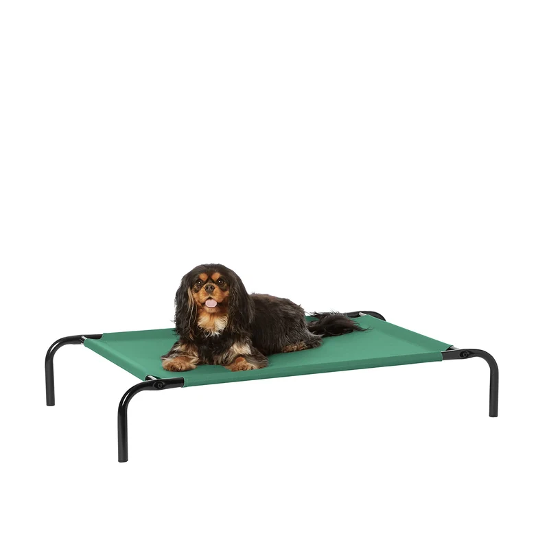 Amazon Basics Lit Chien Surélevé et Respirant – Cadre Métallique Vert (36 x 22 x 7,5 po)