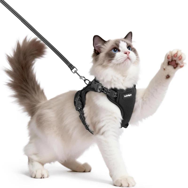 rabbitgoo Harnais et Laisse pour Chat – Harnais anti-fuite à 3 boucles ajustables, confort doux et réfléchissant, taille moyenne, noir