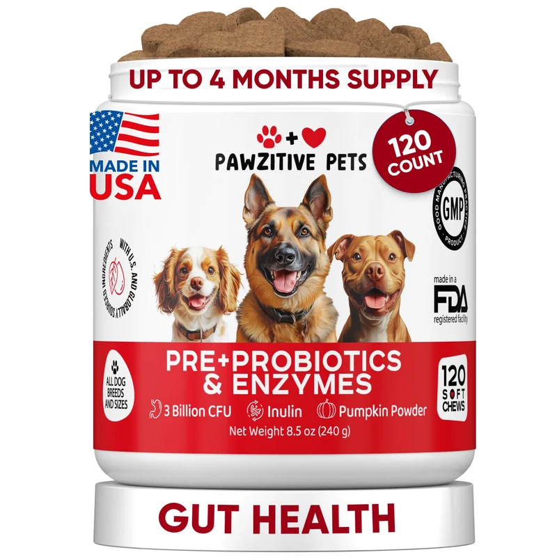 Pawzitive Pets Probiotiques pour Chiens – Bouchées Digestives et Soutien Immunitaire