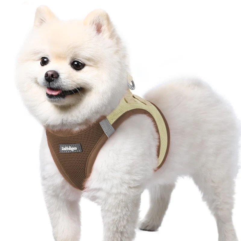 Rabbitgoo Harnais Petit Chien S — Maille Aérée, Enfiler Rapidement, Réfléchissant et Confortable