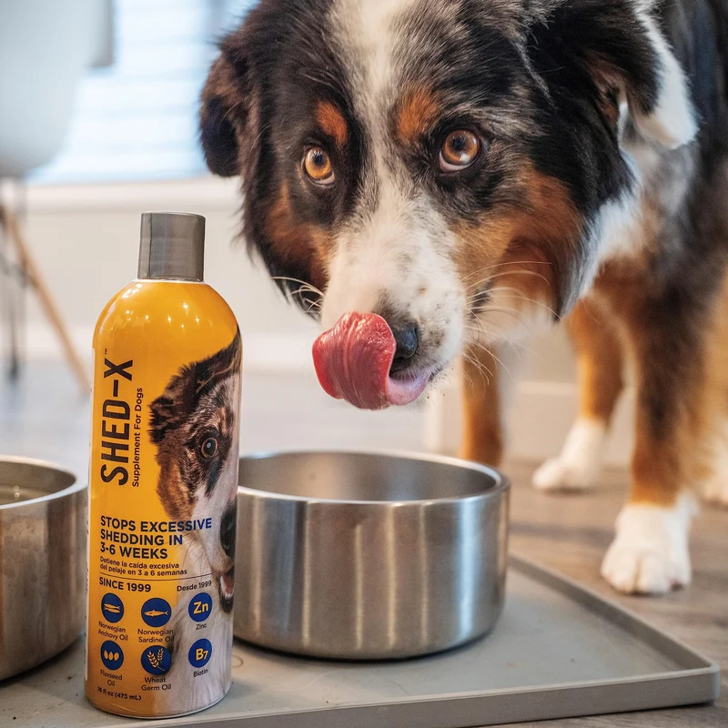 SynergyLabs Shed-X – Supplément Liquide pour Chiens, 473 ml, 100% Naturel – Pelage sain et mue maîtrisée