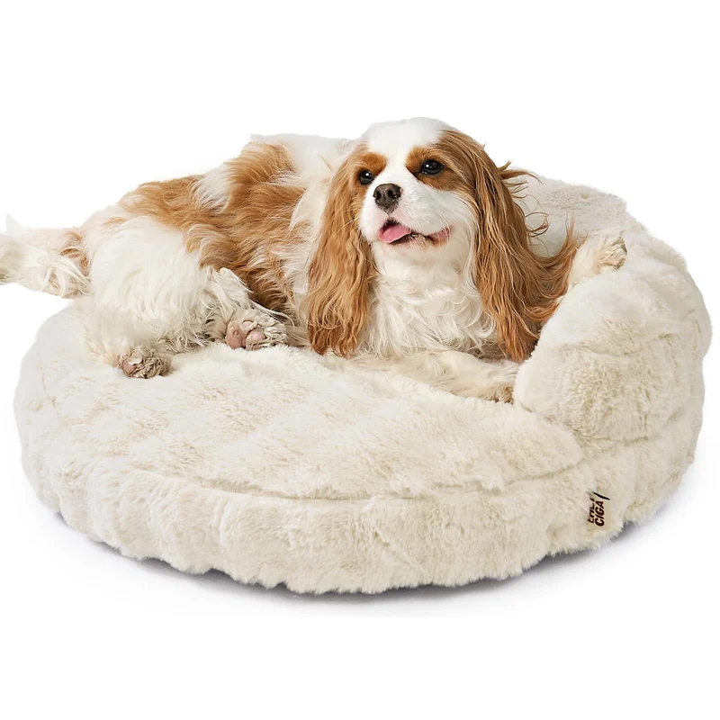 EHEYCIGA Canapé-Couch Doux pour Chat et Petit Chien – 23 pouces x 23 pouces x 7 pouces, Crème