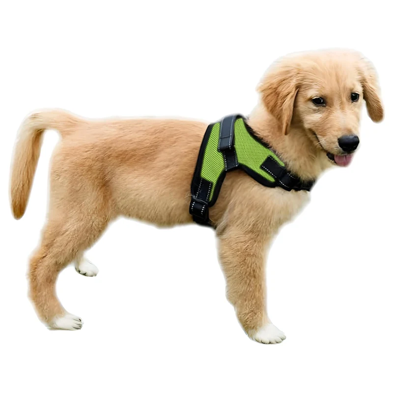 Copatchy Harnais Chien Anti-Tirage Réfléchi avec Poignée – Maille Confortable, Ajustable (XS, Vert)
