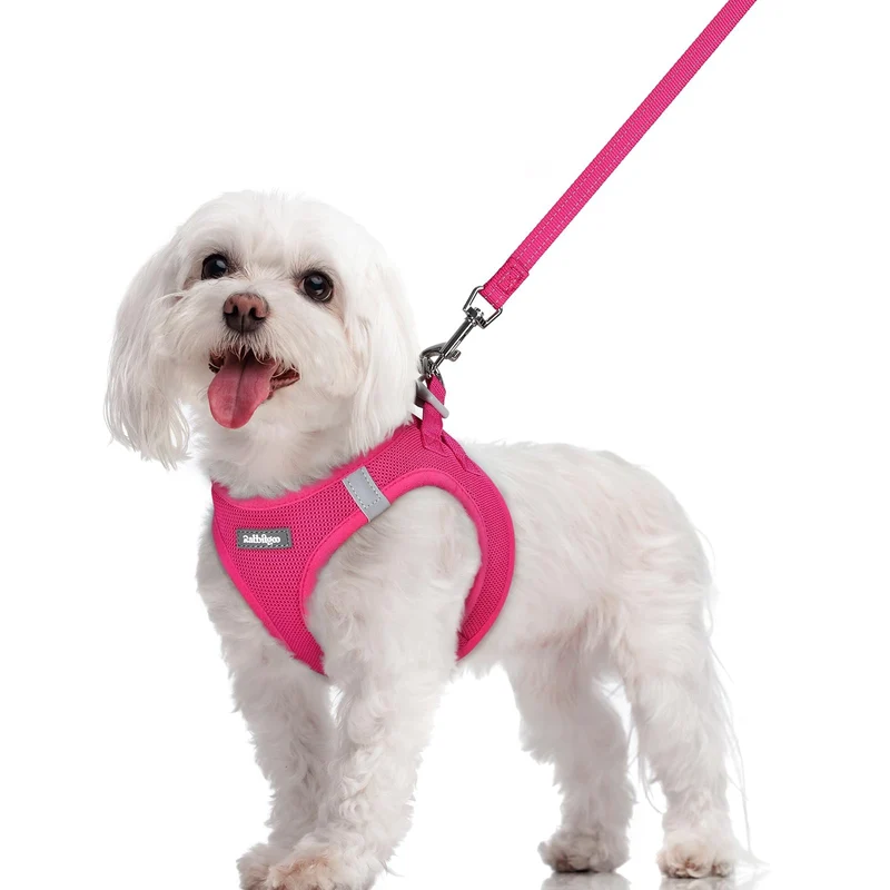 rabbitgoo Harnais pour Chien Petit M – Rose, Maille Respirante + Laisse Incluse