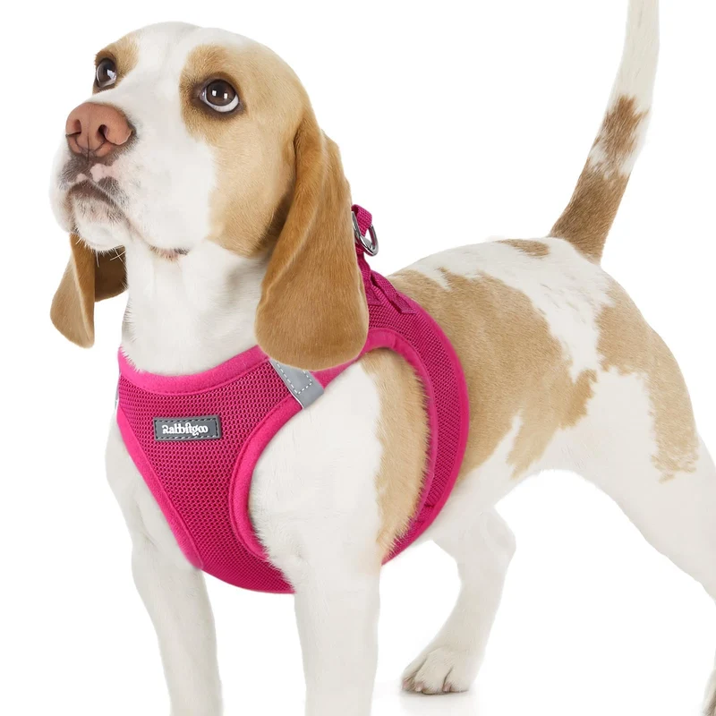rabbitgoo Harnais Petit Chien – Step-in en Maille Douce, Sécurité et Réflectivité, Rose Rouge M