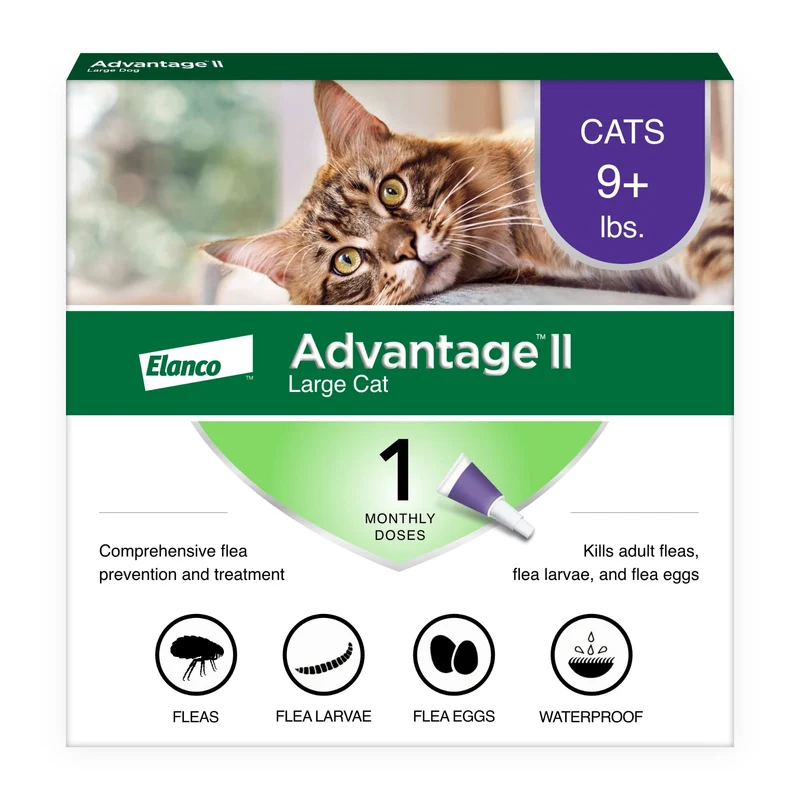 Advantage II Grand Chat - Traitement et Prévention Puces pour Chats pesant plus de 9 lb | 1 mois