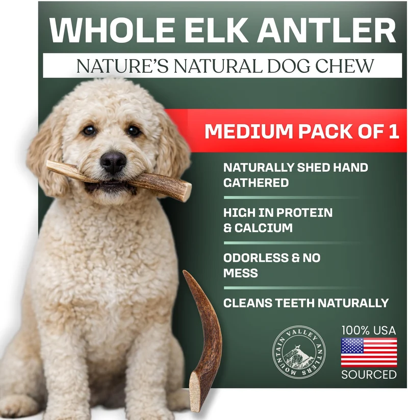 Cornes de wapiti Mountain Valley pour chiens – 100% naturelles, sans odeur, longue durée
