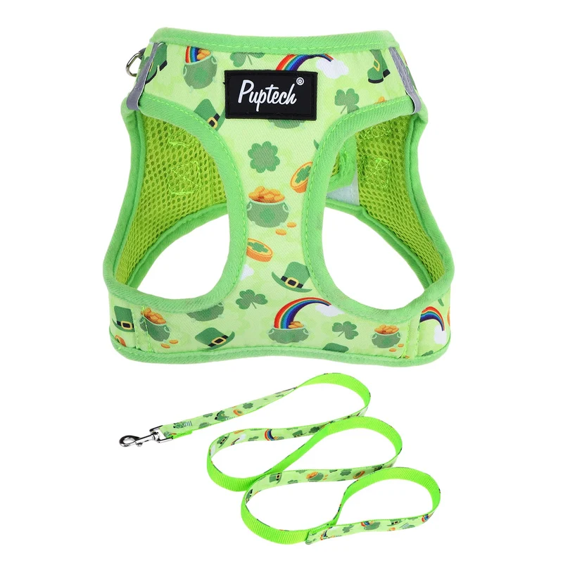 PUPTECK Harnais et Laisse pour Chiens Petits et Moyens - Sans Traction, Maille Respirante, Réfléchissant - Vert Saint-Patrick, Taille S