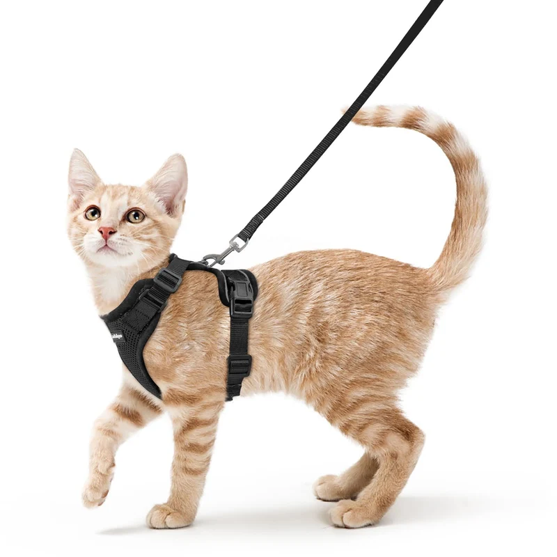 Rabbitgoo Harnais pour Chat avec Laisse – Harnais-Veste Respirant, Ajustable, Bandes Réfléchissantes, Anti-Fuite, Noir, Taille S