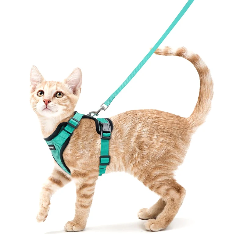 rabbitgoo Harnais et Laisse pour Chat – Émeraude XS, Confort Respirant et Anti-Évasion