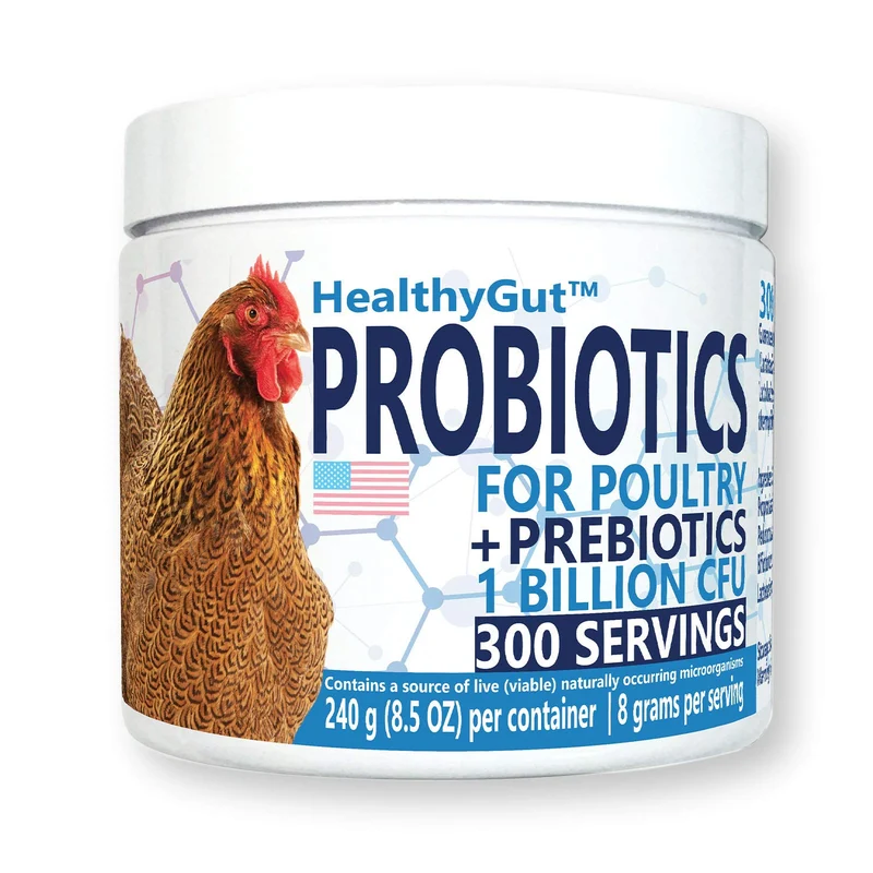 Equa Holistics HealthyGut Probiotics pour Poulets & Volaille – 30 Cuillères