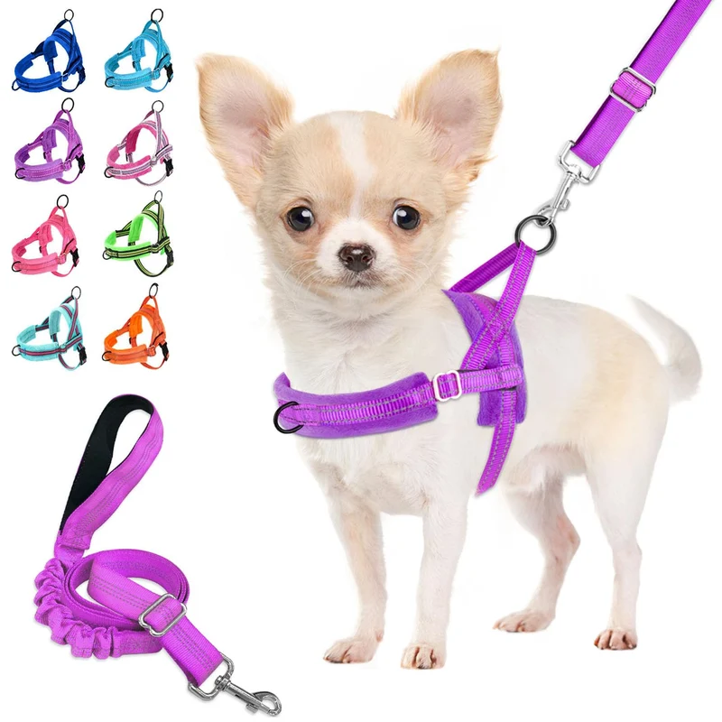 Lukovee Harnais et Laisse Anti-Tirage pour Chien Petit – Doux, Réfléchi, Violet