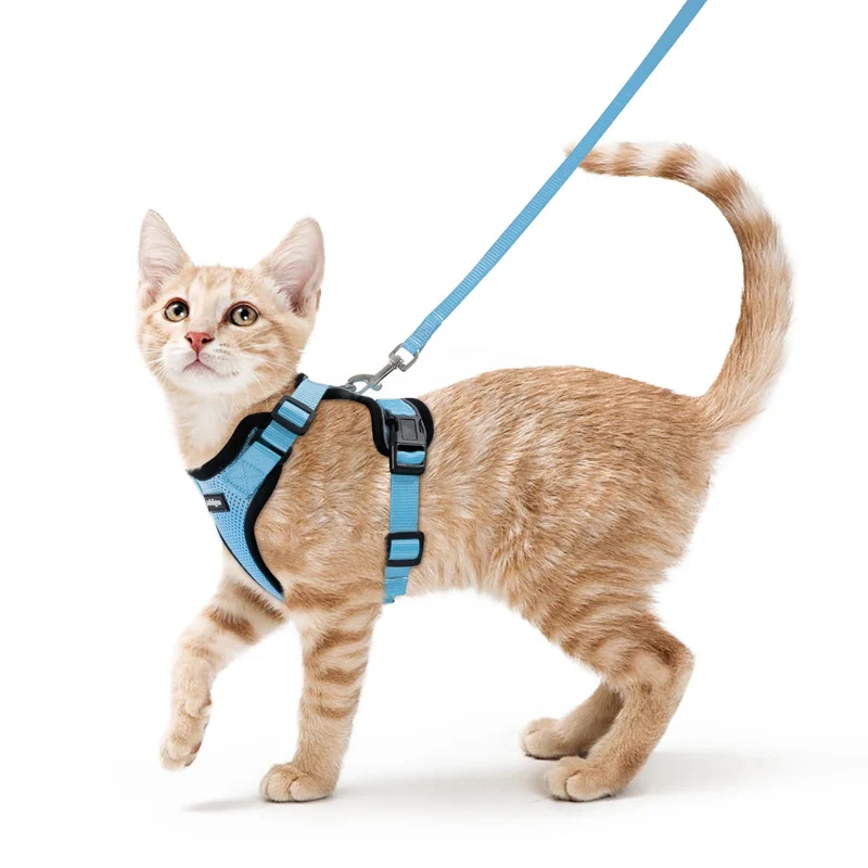 Rabbitgoo Harnais et Laisse pour Chat – Confort Air-Mesh, Anti-Fuite, Réglable, Bleu Clair