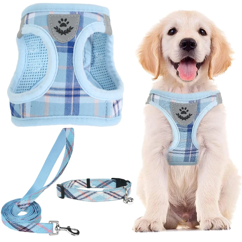 PUPTECK Harnais et Laisse Ajustables Bleu – Pas de Traction, Mesh Doux, Réfléchissant (Taille S)