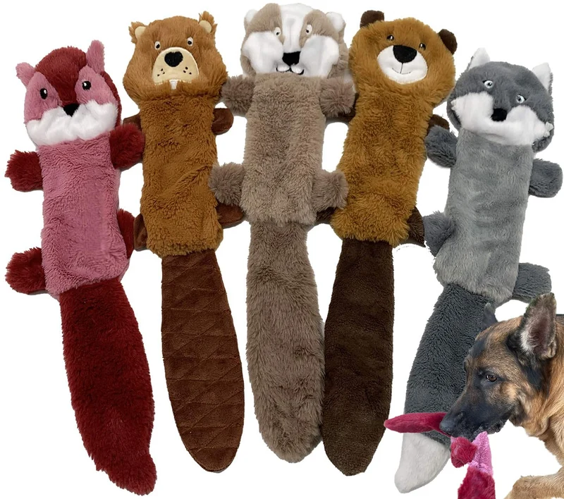 Jalousie — Lot de 5 Jouets pour Chiens Sans Rembourrage (Sifflement et Crinkle) – Pour Chiens Moyens à Grands