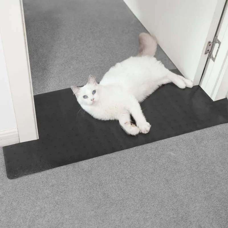 Protection de tapis pour animaux – Barrière anti-rayures pour seuil de porte | Oroonoko 3,6 pi