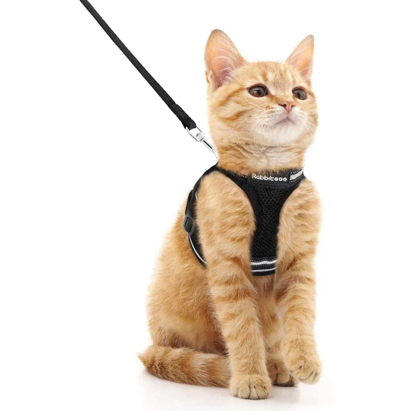 rabbitgoo Harnais et Laisse pour Chat — Anti‑Évasion, Ajustable, Doux et Réfléchissant, Noir, Taille M