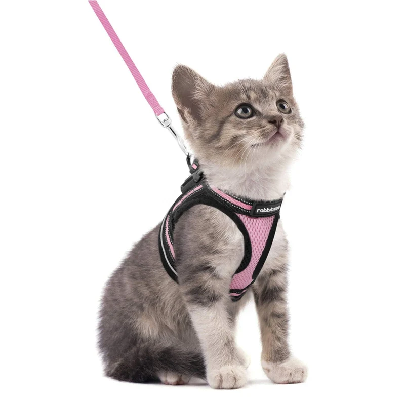 Rabbitgoo Harnais et Laisse pour Chat - Confort, Ajustable, Anti-fuite et Bandes Réfléchissantes