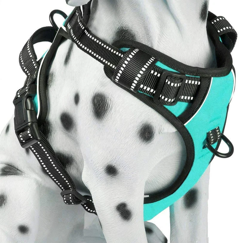 PoyPet Harnais Anti-Tirage pour Chiens – Confort et Contrôle avec Attaches Avant/Arrière, Mint Bleu, Taille M