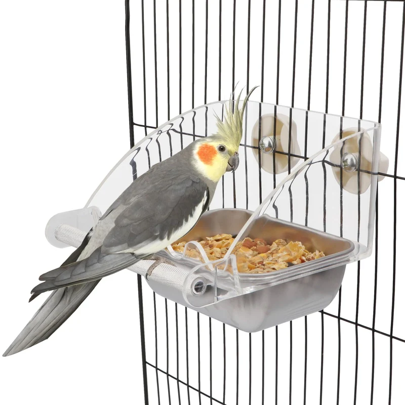 Hypeety Mangeoire Transparente pour Perruches et Petits Oiseaux – Sans Fuite, Bol Inox et Perchoir Antidérapant
