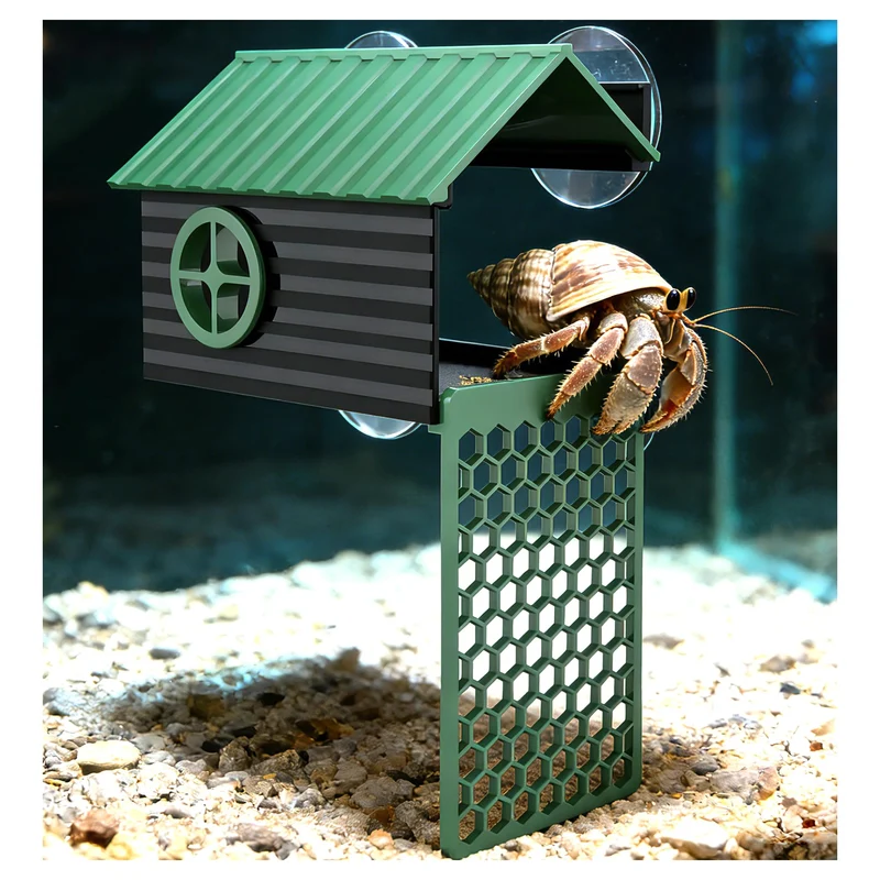 XIAOXINGYUN - Cachette polyvalente pour hermite-crabe : escalier, mur d'escalade et observation