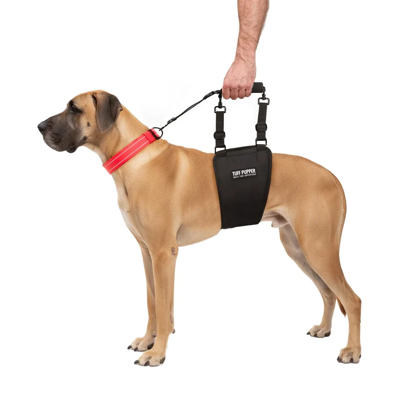 Harnais Sangle-Hanche Arrière Tuff Pupper — Aide à la Mobilité pour Chiens Seniors et Blessés (Grand/Mâle)