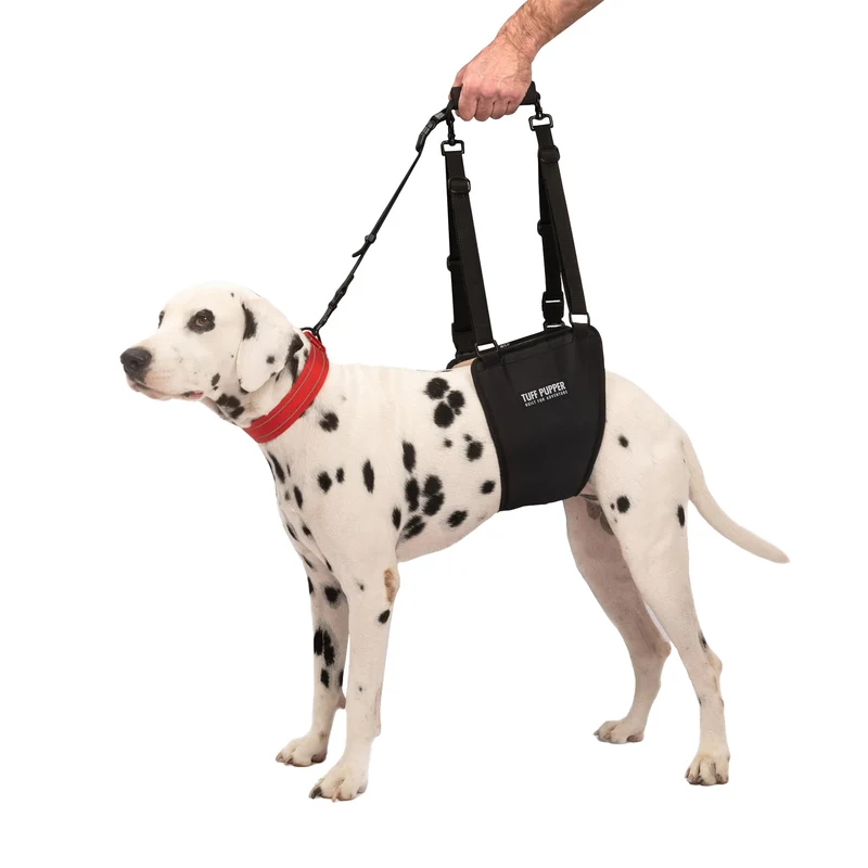 Harnais Tuff Pupper – Aide arrière pour chien senior (M/L, unisexe)