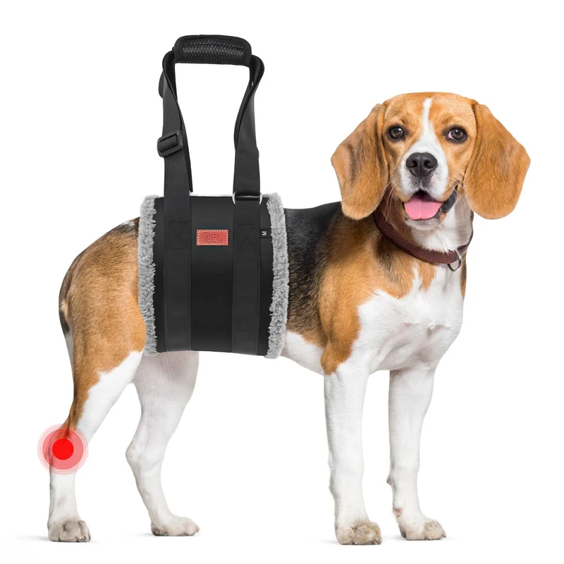 Harnais Rehausse Ajustable PICK FOR LIFE – Soutien des pattes arrière pour chien grand et senior (Noir/Gris, Taille M)