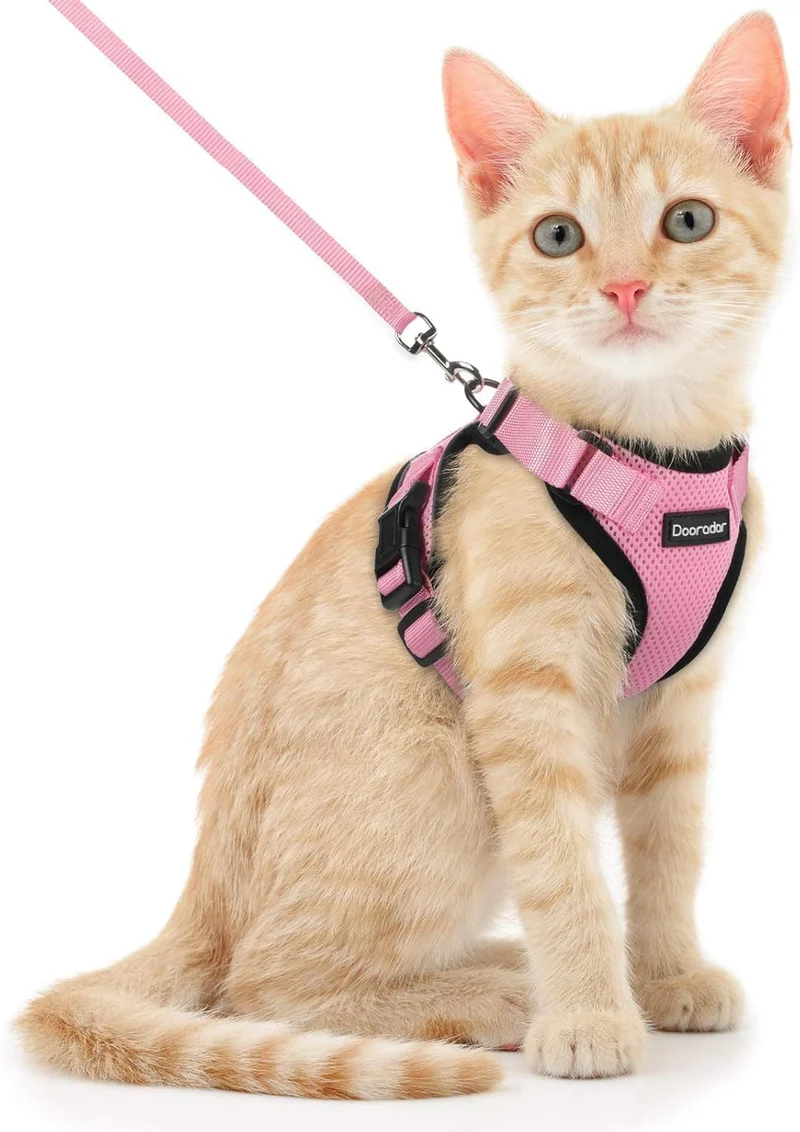 Dooradar Harnais et Laisse pour Chat – Taille S, Ajustable, Réfléissant et Sécurisant pour Balades