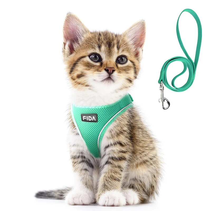 Fida Harnais et Laisse XXS pour Chat Vert — Mesh Respirant et Enfilage Facile