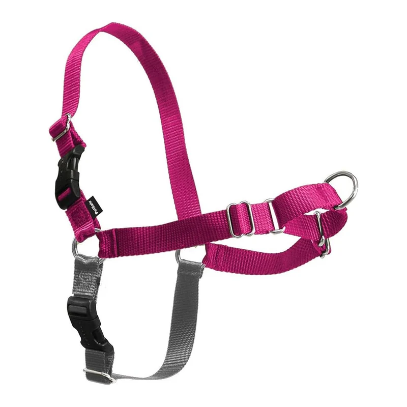 PetSafe Easy Walk Harnais pour Chiens – Pas de Traction, Attache Devant – Confort Framboise/Gris