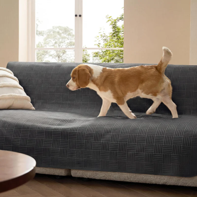 Bedsure Couvre-Canapé Imperméable pour Chiens — Lavable, Charbon, Grand Format 132x208 cm