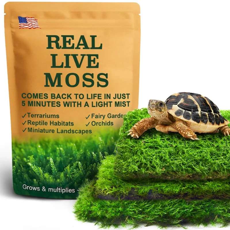 LUCKYRUNES Pack Mousse Vivante pour Reptiles – Ensemble de 3 Mousses Réelles Terrarium (3,5 po x 7 po)