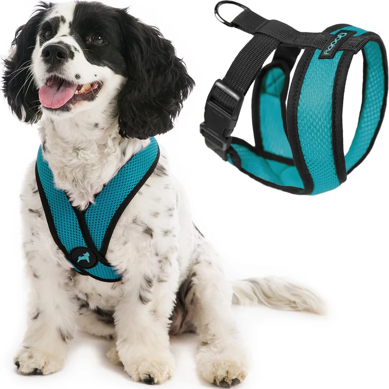 Gooby Comfort X Harnais Turquoise – Harnais sans traction pour petits et moyens chiens
