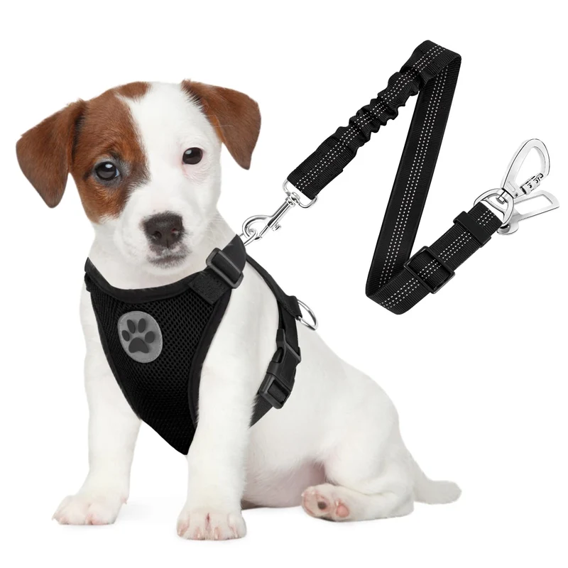 Harnais Ceinture de Sécurité SlowTon pour Chien – Voiture 2 en 1, Maille Respirante, Deux Clips, Taille S (Noir)